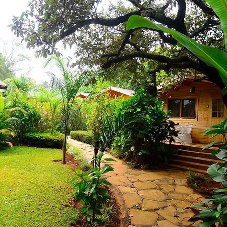 Severine Cottages And Lounge Ltd Nairobi Exteriér fotografie