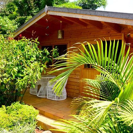 Severine Cottages And Lounge Ltd Nairobi Exteriér fotografie