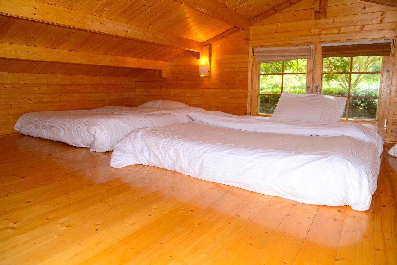 Severine Cottages And Lounge Ltd Nairobi Exteriér fotografie