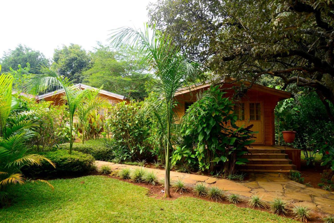 Severine Cottages And Lounge Ltd Nairobi Exteriér fotografie